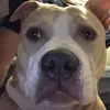 isaiah.salgado23 - @isaiah.salgado23 - TikTok