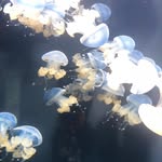 Isaiah Schmidt - @washablechalk - Instagram