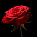 Isaiah Slater - Facebook