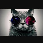 Isaiah_Torrez_315 - @isaiah_torrez_315 - Instagram