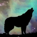 Isaiah Vance - @the_oneandonlyblueboy - Instagram