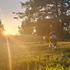 Isaiah Walker - @isaiah.walker71 - TikTok