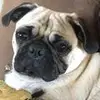 Isaiah Walls307 - @31379613105 - TikTok