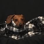 Isaiah Webster - @isaiah2webster - Instagram
