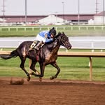 Career of Isaiah Wiseman - @isaiahwiseman_jockey - Instagram