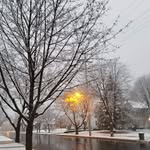 Isaiah Wolf - @irdc141 - Instagram