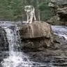 isaiah wolf - @user817927278 - TikTok