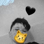 @isaias_.roa - Instagram
