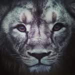 isaias roa-matos - @isaiasroamato - Instagram
