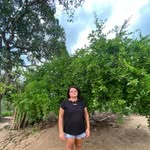 Isaura Oliveira - @isauracabraloliv - Instagram