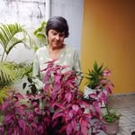 Isaura Martins - @isaura.isaura.583 - Instagram