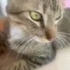 Isauro Chavez - @isauro.chavez - TikTok