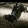 Isauro Chavez - @luischavez.502 - TikTok