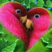 Isel Conerlio - Facebook