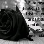 Isel Rodríguez Rodríguez - @iselrodriguezrodriguez - Instagram