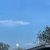 Isela Paramo - @isela.paramo - TikTok