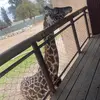 Kim - @iselaparamo.com - TikTok