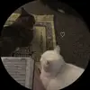 aisha_ansari4 - @aisha_ansari4 - TikTok