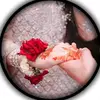 💕🦋isha Ansari 🦋💕 - @ishaansari43 - TikTok