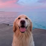 Isha Ballal - @ishaballal - Instagram