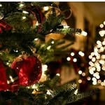 Isha-charles - @ishajelsi0509 - Instagram