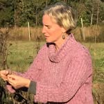 Linda Shanahan MSN, RN Nurse+Farmer+Herbalist - @medicinemakersgarden - Instagram