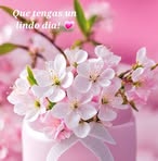 Isha Flores - Facebook