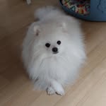 창틀 정원의 미르 ★ 이샤그린 - @ishagreen_mir - Instagram