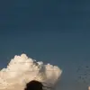 Isha Gurung - @isha.gurung96 - TikTok