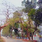 Isha Khan Hall, BAU - Facebook