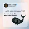 Isha Ismail 110 - @ishaismailkhaskhali110 - TikTok
