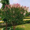 ISHA_KHALID_ - @isha_khalid_ - TikTok