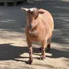 ishanaidu143 - @ishanaidu143 - TikTok