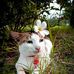 Ayesha Aru - Facebook