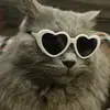 Isaac Osman - @ishako.osman - TikTok
