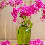 Isha Osman - @isha.osman.566 - Instagram