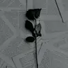 🤍aishaperry🤍 - @aishaperry1 - TikTok