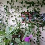 Isha Petersen - @ishapetersen - Instagram