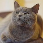 Isha Richard - @isharichard8 - Instagram