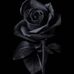 Isha Tripathi - Facebook