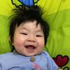 Lisha.wong - @lisha.wong - TikTok