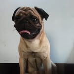 Ishaan Paul - @ishaanpaul5 - Instagram