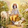 ishaanshetty - @ishaan.shetty - TikTok