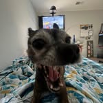 Isaiah Bonner - @2ayshyne - Instagram