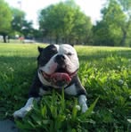 Isiah Brown - Facebook