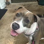 @isiahscott_2103 - Instagram