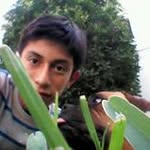 Adrian Isidro Antonio Cadena - @adrianisidrocadena - Instagram