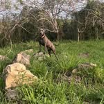 Isidro Cadena - @isidro_cadena - Instagram