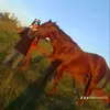 Isidro Cano - @isidrocano70 - TikTok