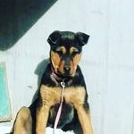 Isidro Chong - @isidro.chong.33 - Instagram